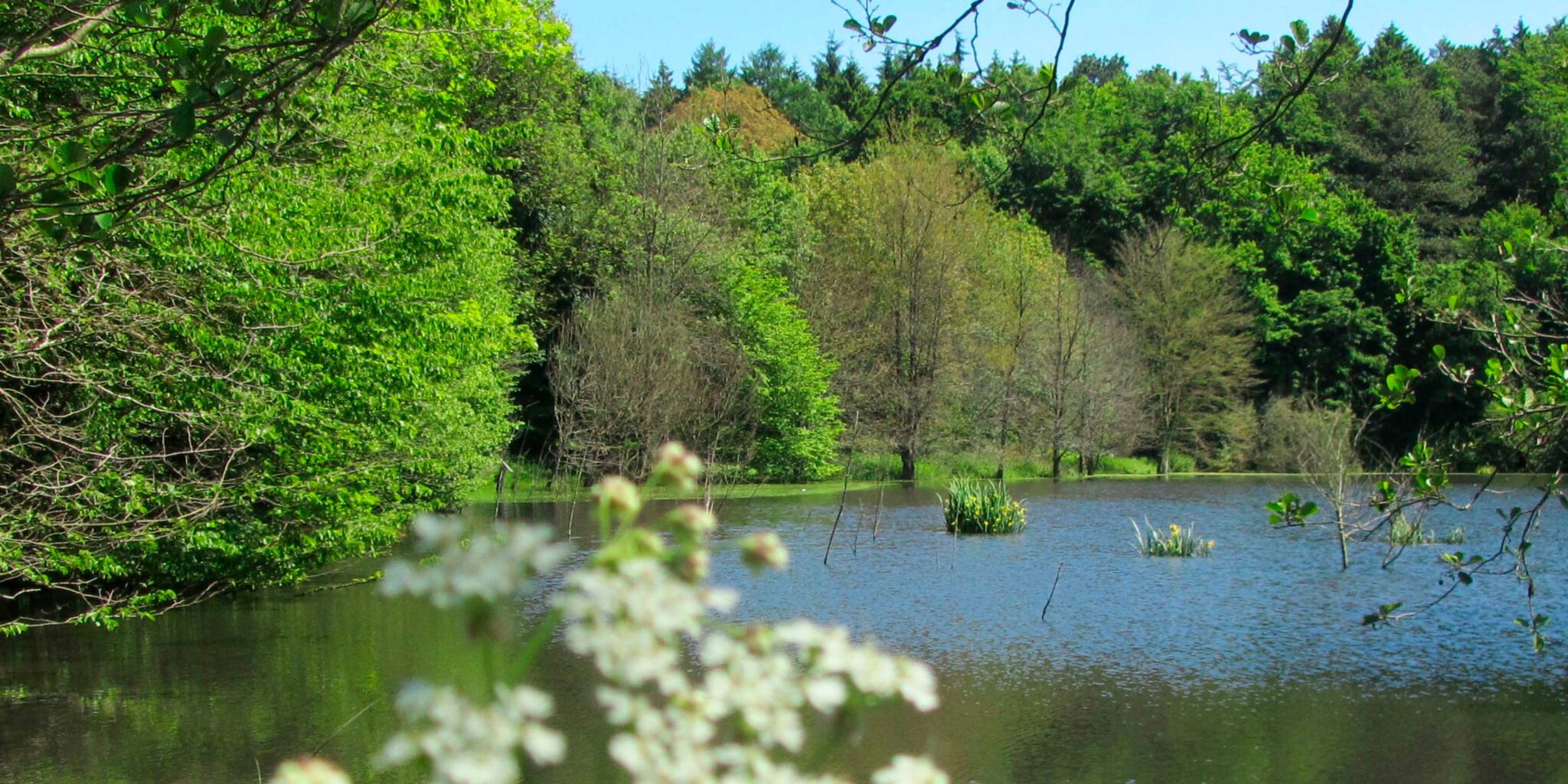 Sommer